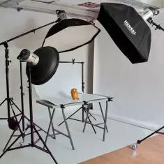Novo Studio