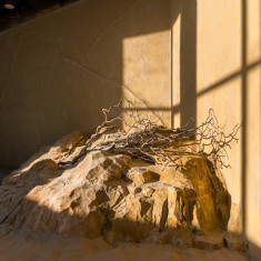 Город Пикассо