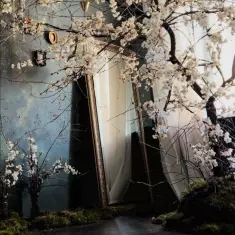 Две Комнаты. Винтажное Пространство в Усадьбе Измайлово