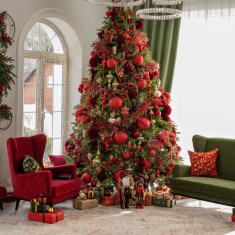 CELEBRITY Premium класса