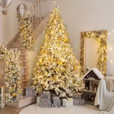 Фотостудия INSIDE