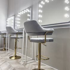 LION STUDIOS PREMIUM