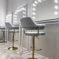 LION STUDIOS PREMIUM