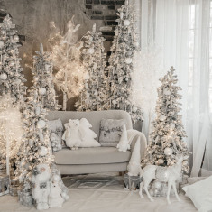 CELEBRITY Premium класса