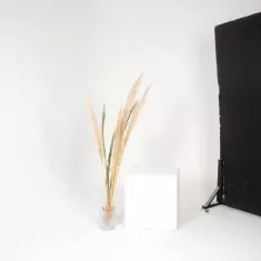 Фотостудия Кураж