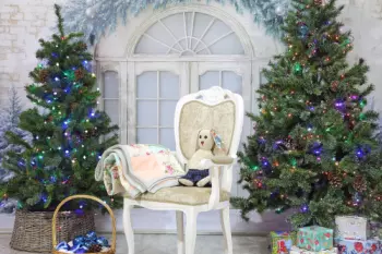 Семейная фотостудия Смена