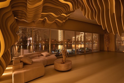 Дизайнерские