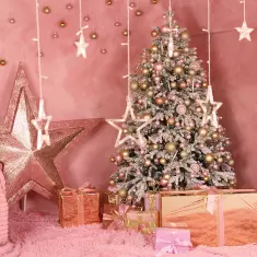 5 Звезд Фотостудия