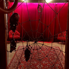 BLACKSTUDIO аквастудия