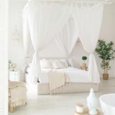 Мимика Москва