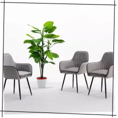 БЕЛАЯ СТУДИЯ