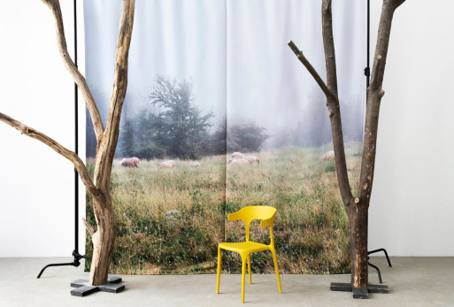 Минимализм