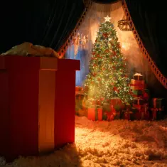 Где живут птички?