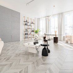 LION STUDIOS PREMIUM