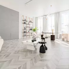 LION STUDIOS PREMIUM