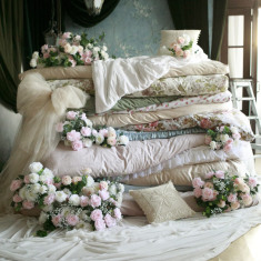 Где живут птички?