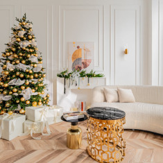 LION STUDIOS PREMIUM