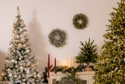 Столовая зона