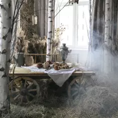 Где живут птички?