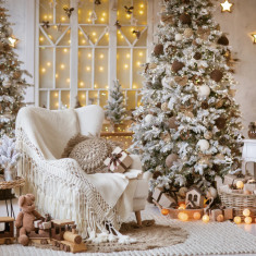 Фотостудия Леонардо