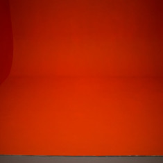 Stigma Photo