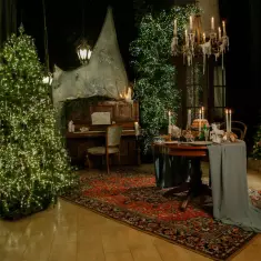 Где живут птички?