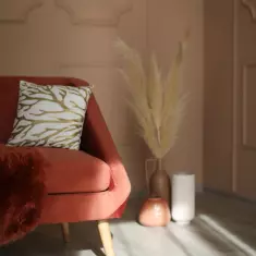 КОТОФОТ: фото, видео, подкасты