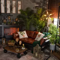 CELEBRITY Premium класса