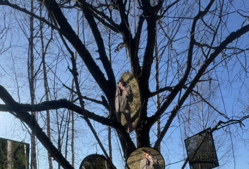 Романтичные