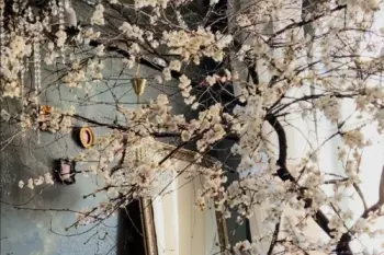 Две Комнаты. Винтажное Пространство в Усадьбе Измайлово