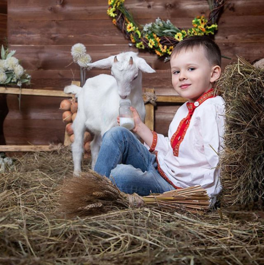 Фотосессия Рождественская Сказка: записи сообщества ВКонтакте