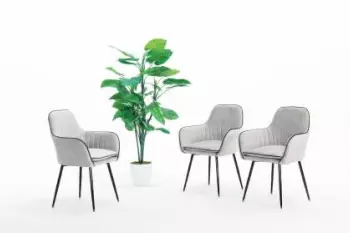 БЕЛАЯ СТУДИЯ