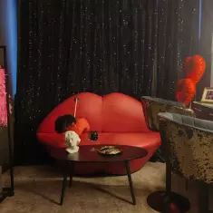 Студия Мадам Напалковой