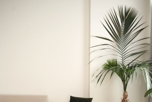 Минимализм