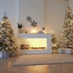 BLANK Studios (большие окна и белые циклорамы)