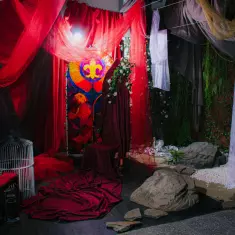 Тигра лютая