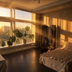 Forlorn Studio