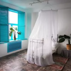 Пять и Шесть