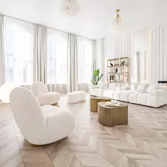 LION STUDIOS PREMIUM