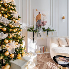 LION STUDIOS PREMIUM