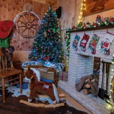 Дикий Запад