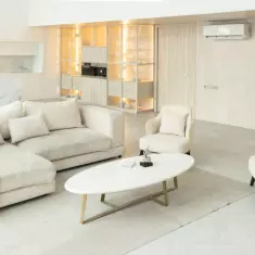 Мимика Москва