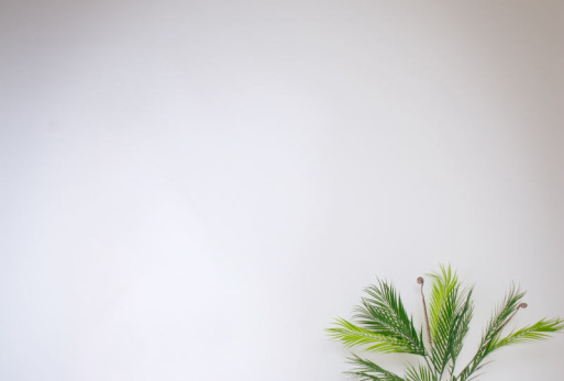 Минимализм